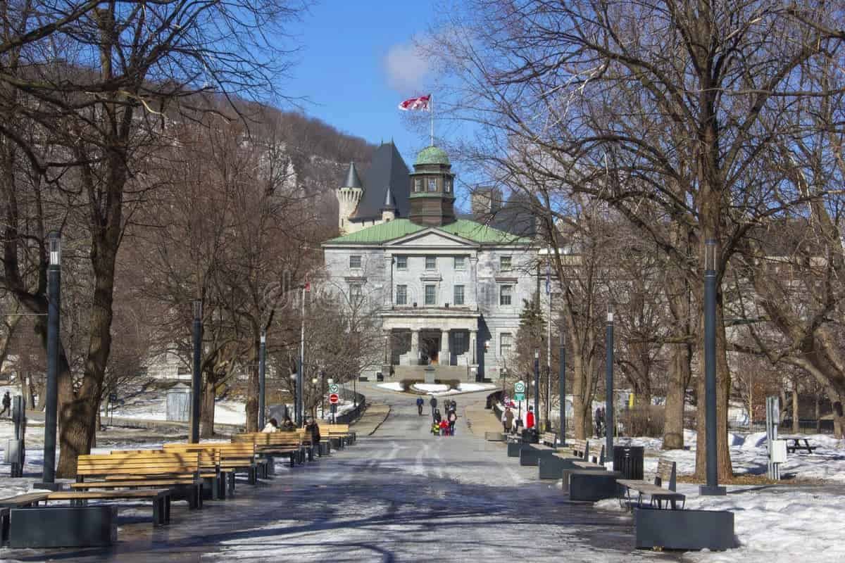 McGill University, Montreal McGill University campus in Montreal with pathway and trees in the background
