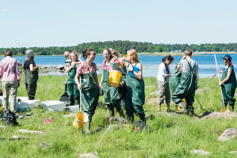 Group of university students in chest waders doing outdoor fieldwork by a Swedish shoreline with buckets and nets—student life, part-time work, and safety while studying in Sweden.