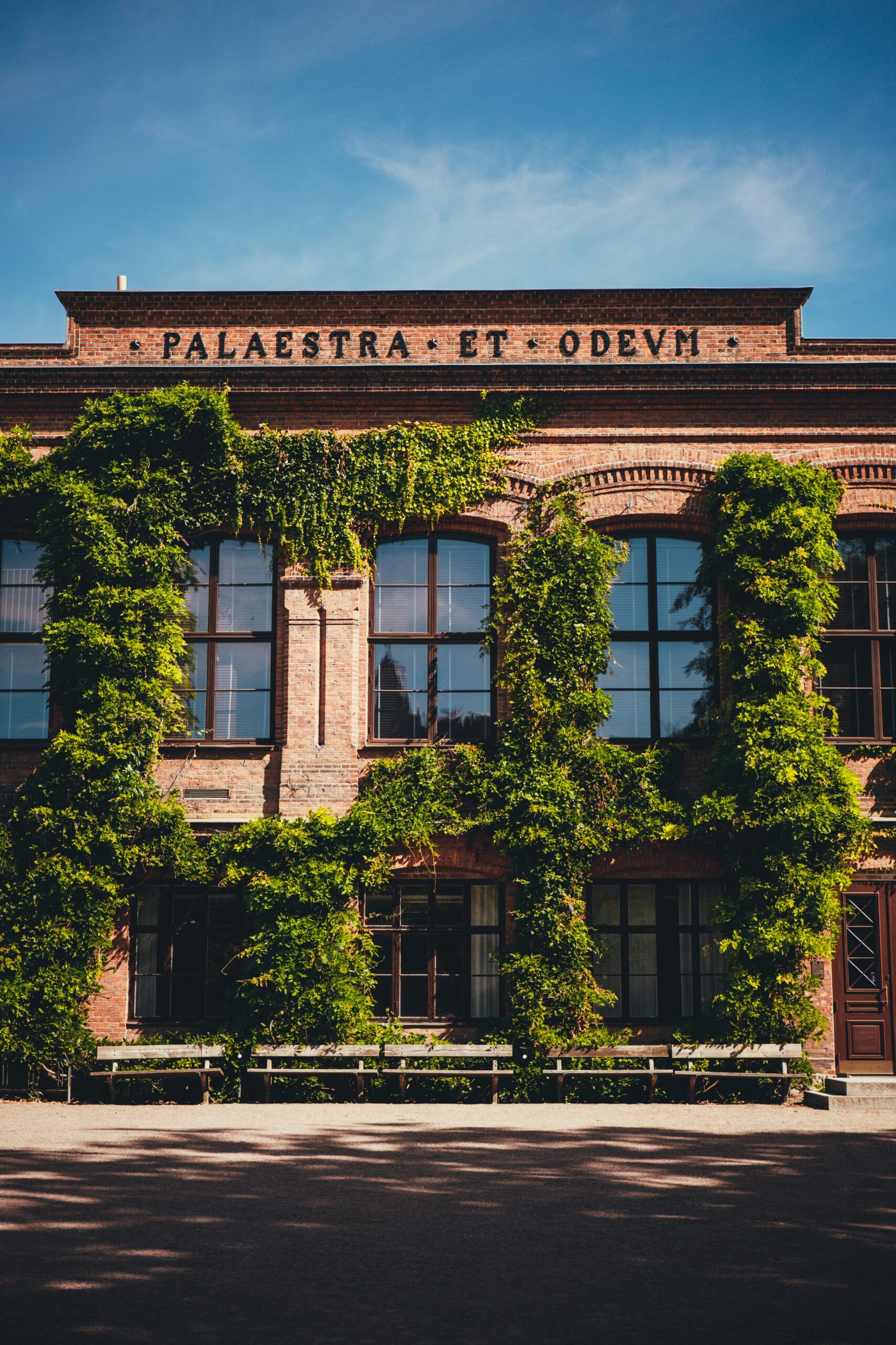 A historic red-brick building of Lund University in Sweden covered with green ivy under a clear blue sky