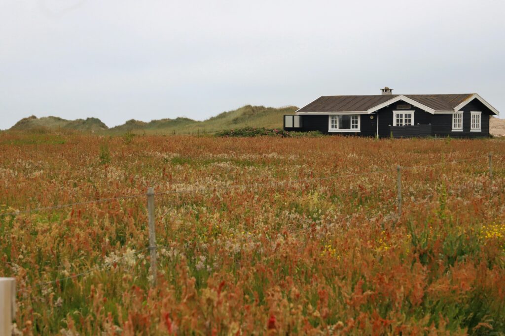 A small dark wooden cabin standing in a field of wild grasses and flowers with gentle hills in the background under an overcast sky.